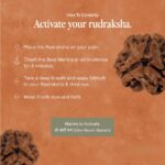 3 Mukhi Rudraksha