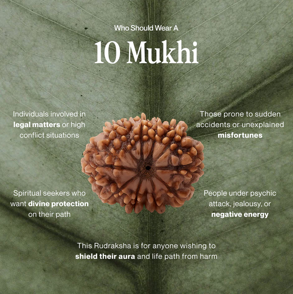 10 Mukhi Rudraksha