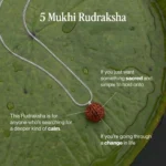 Mulank 3 Combo