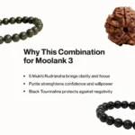 Mulank 3 Combo