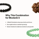 Mulank 5 Combo