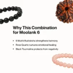 Mulank 6 Combo