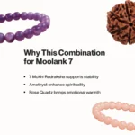 Mulank 7 Combo