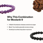 Mulank 9 Combo