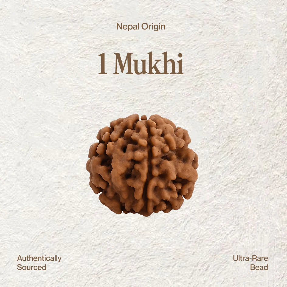 1 Mukhi Rudraksha