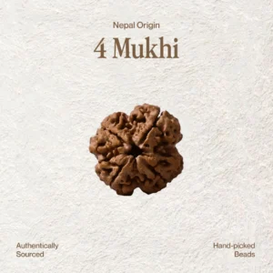 4 Mukhi Rudraksha
