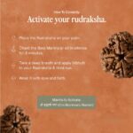 4 Mukhi Rudraksha