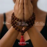 5 Mukhi Rudraksha