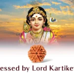 6 Mukhi Rudraksha