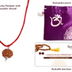 6 Mukhi Rudraksha